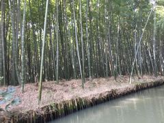 -同里国家湿地公园