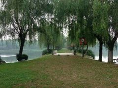 环境-汤湖公园