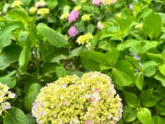 -贵州省植物园