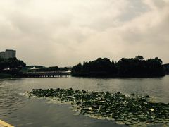 -新江湾城公园