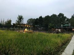 -洪湖家庭农场·团建·露营·会议