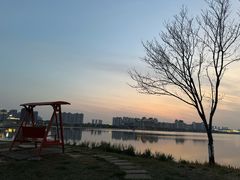 -九龙湖公园