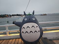 -北戴河碧螺塔海上酒吧公园