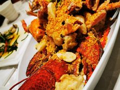 -金蝉食府(维吉奥广场店)