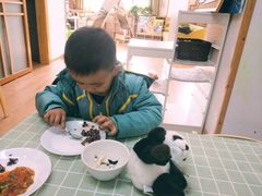 -世纪飞马幼儿园(西城校区)