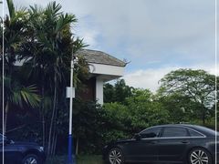 -中国科学院西双版纳热带植物园