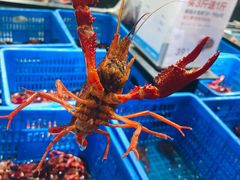 -盒马鲜生(宝地店)