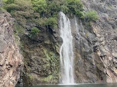 -上海辰山植物园