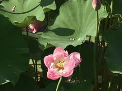 -沐仙湖湿地公园