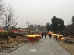 -秀丽东方