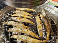 -四斤烤肉(东戴河孟家店)