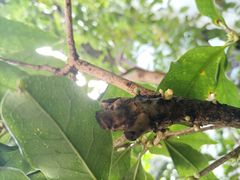 -小雅青年旅舍(平江路店)