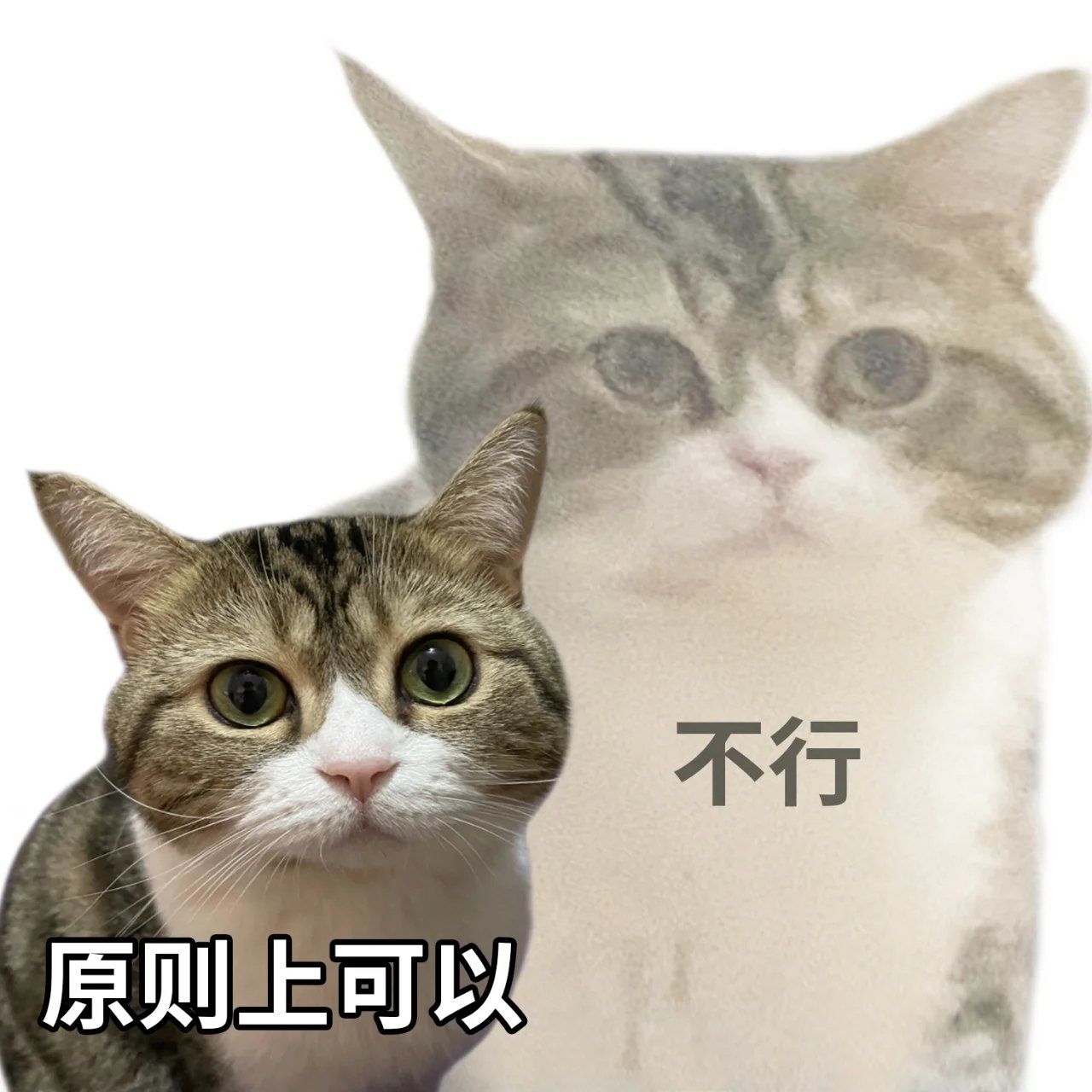 学习一些说话技巧