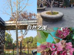 -昆山城市生态森林公园