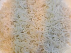 -Sultan pakistan苏单巴基斯坦