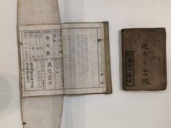 -三亚红色娘子军演艺公园景区