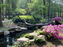 -上海共青森林公园