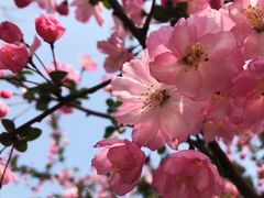 -杭州城北体育公园