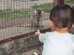 -南昌动物园