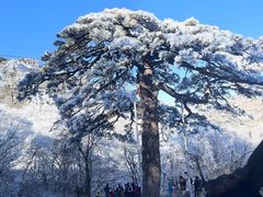 -黄山风景区