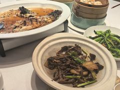 土猪肉鹿茸菌-广东道至正餐厅(区庄店)