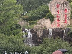-秦皇岛野生动物园