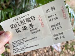 -上海滨江森林公园