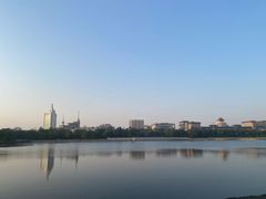 -莲花池公园
