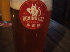 -Boxing Cat Brewery拳击猫精酿啤酒馆(永福店)
