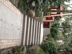 青城道温泉-青城道汤池