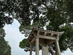 -洛阳桥