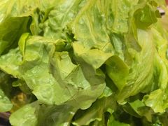 -江城二当家烤牛肉(莲塘新村店)
