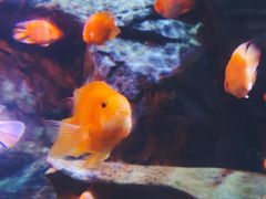 -厦门海底世界