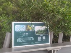 -福道