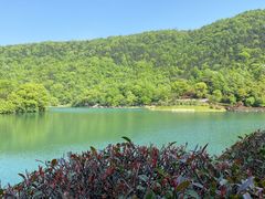 -桃花岭景区