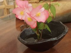 -曦瓜大红袍专卖店·茶室(上海静安店)