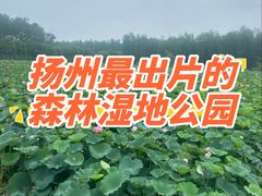 -渌洋湖湿地公园