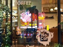 -No Cat 手碟