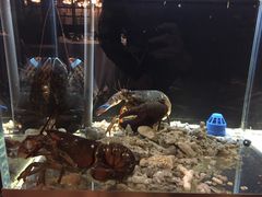 -璞御·海鲜·雪花牛肉局(宾水西道店)