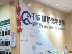 -千城康桥宠物医院·猫科·骨科·心脏