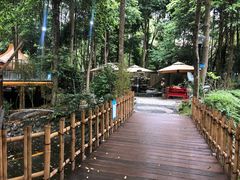 -二荆条·蜀鲜汇城市森林火锅
