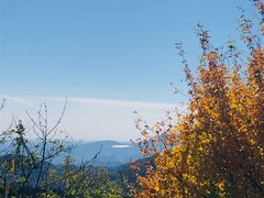 -北京西山国家森林公园