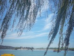 -颐和园