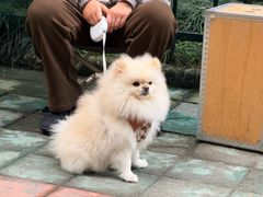 -鄰居neighborhood(马塍路店)