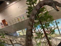 -湖南省地质博物馆