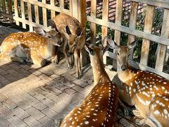 -水上乐园·欢乐世界