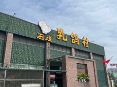 -石岐乳鸽村(南海第三分店)