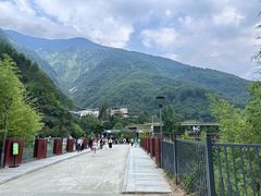 -卧龙中华大熊猫苑神树坪基地
