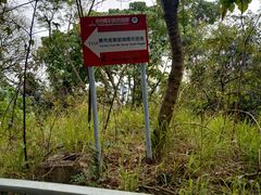 -YHA赛马会摩星岭青年旅舍(香港岛)