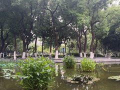 -常州古运河南大街文化旅游区-人民公园